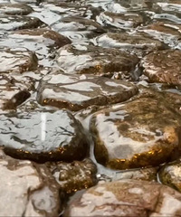 ̨�ݷ�����ɫԤ����������ֽ�������ʲôʱ������