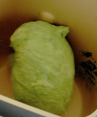 �ó��ֺÿ���Ĩ����������������̫������~