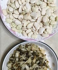 �������ʲô�������ϲ���Թ��ﶹ�����̲�