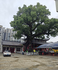 ���������¥�����֣��м�һ��λ��������