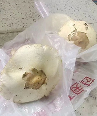 ��ժ����ԣ�̨����ҽԺһ��������4��