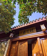 ����16�棡��ˮ��ǿ���������ɱ���㽭��������̨�������