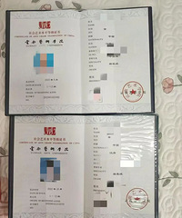 13��Ů��Ϊ��ѧ���������������������У����Ԯ���������ػ�Ӧ