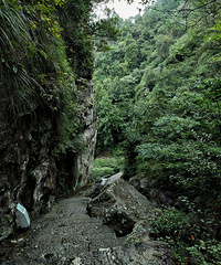 �����ң�ȥ��ɽҰ�ķ磬���������