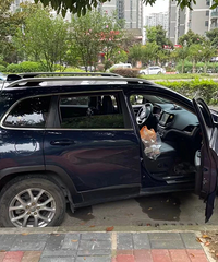 �෽λͣ�����������֣������ᵽһ���ʣ���������