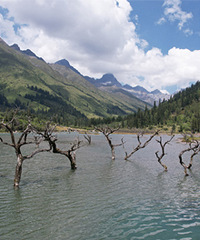 ���˴����ɾ�˫�Ź���̨�����ڴ˿�����Ʊ