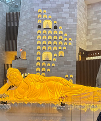 ��ȫ��ţ��ɽ����