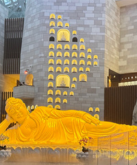 ţ��ɽ�����ǻ�40�ڴ���Ĺ����ȫ���𺳵�