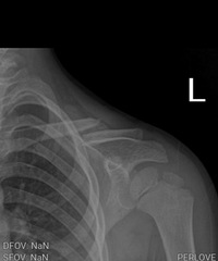 4���׶�����ˤ�ϴ�λ�ص����й����˾�����