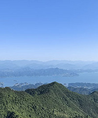 �Ҷ����ʹ�ࣺ���˺ܶ���ˣ�û��һ������