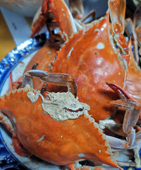 �������ʲô��20Ԫһ����з��һ�붼����