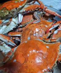 �������ʲô��20Ԫһ����з��һ�붼����