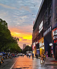 ˢ������Ȧ����ϼ�����ĵ�����