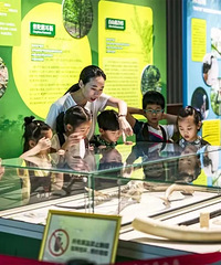 ���������̨�ݿ�����ô�棬����������������