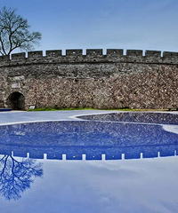 һ����ţ�һ���ǣ�̨�ݸ��ǻ��Ϊ�й������ų���