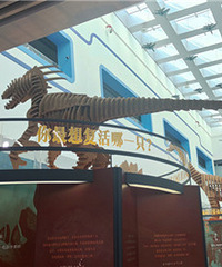 �Ƽ��ݿ���չ��ĺ��ޣ�