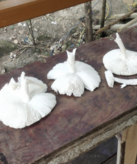 �㽭Ů���᲻�óԣ�ȫ���Ϲ����ˣ���������Ϲ����ߣ�