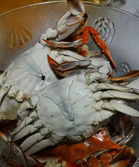 �������ʲô����ҹ�ǳ�ʣ���з