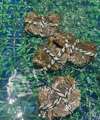 ���ϡ�С�ꡱ��̨���˲�������ڡ��ʡ����۸񲻱���