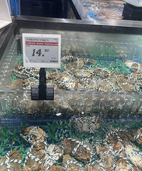 ���ϡ�С�ꡱ��̨���˲�������ڡ��ʡ����۸񲻱���