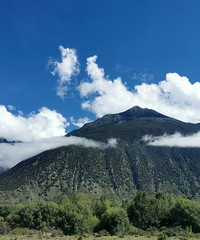 ����֥ȥ������;�У��򵥿���һ�°��ɴ�