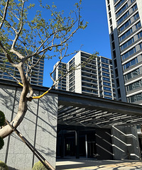 ͵͵����̳��ĺ����С�����زιۡ�