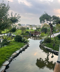 95���ٺ������˶����ӣ�������ҵ����15+������Ҷ���