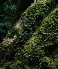 ͻȻ���𣡽������ѣ���Ҫȥ����Ҫȥ��