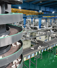 ���£����������ҵȫ��500ǿ