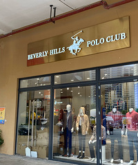 ����Ұ�����˹���������ļ�POLO���ꡭ