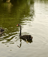 ��2024�μǡ����츣��������