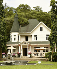 �Լݸ���������