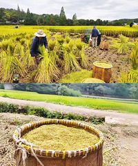 ��̨����������Next Level�����