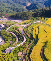 ��̨����������Next Level�����