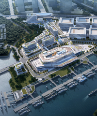 �����ŵ����磡��������³�ǿ�������