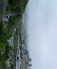 ȥ����������ɽ�����̵���