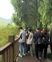 ��̨̫���ˣ������ڹ�����ż������һ��