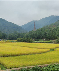 �����µĵ�������