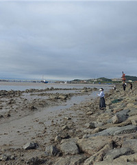 ͷ�Ÿ۰�ɳ��һ����