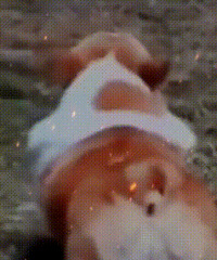 ·���������������