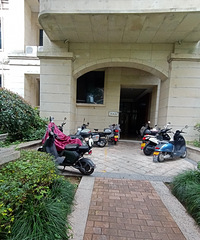 С����ĵ綯����ô���