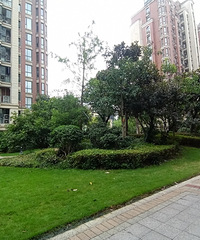 С����ĵ綯����ô���