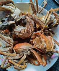 [�����ʲô]�����з����