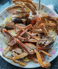 [�����ʲô]�����з����