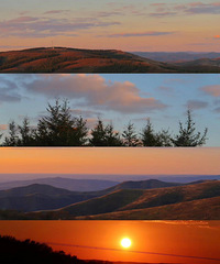 ��2024�μǡ���ɽ��˶ཿ�������������ҵ�����������