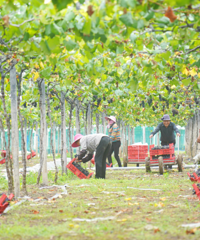 ������������������򡱣���������Ѿ�����5�ڡ�