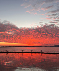 ��2024�μǡ������人�ϲ��Σ�����չ졢�ܲ�����