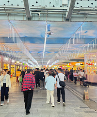 ��2024�μǡ������人�ϲ��Σ�����չ졢�ܲ�����