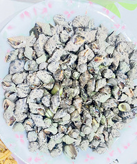 �������ʲô������Ϻ���ĺ��ݣ��Լ����ֵĹ�Ȼ�óԵ��