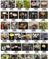 ̨��һ��3�ڣ�ȫ��ȷ��Ѵ������֣�С�ģ��ܶ��˰���